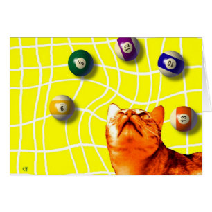 Billard-Katzen-Karte