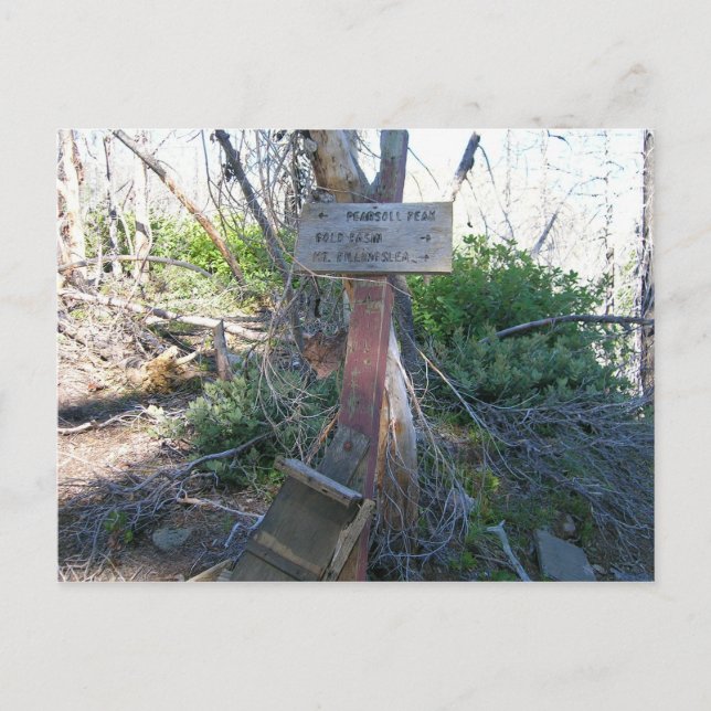 Billingslea Junction Sign Postkarte (Vorderseite)