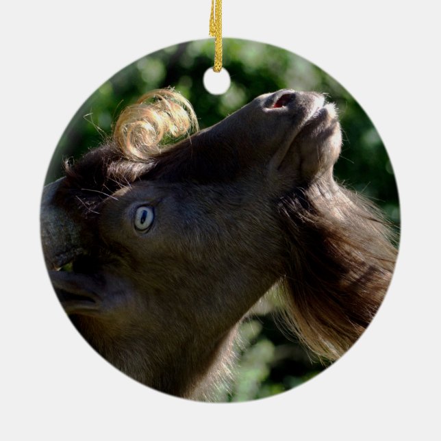 Billy Goat Keramikornament (Hinten)