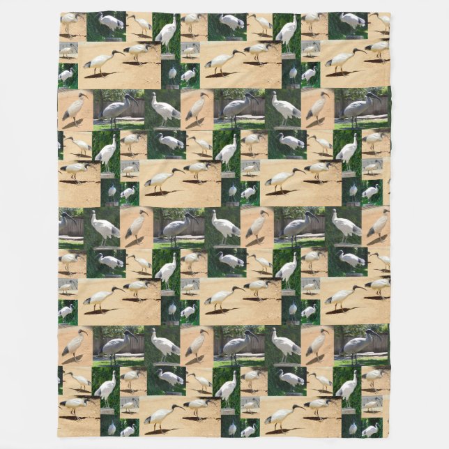 Bin Chicken Chronicles: Ein Ibis-FotoCollage Fleecedecke (Vorderseite)