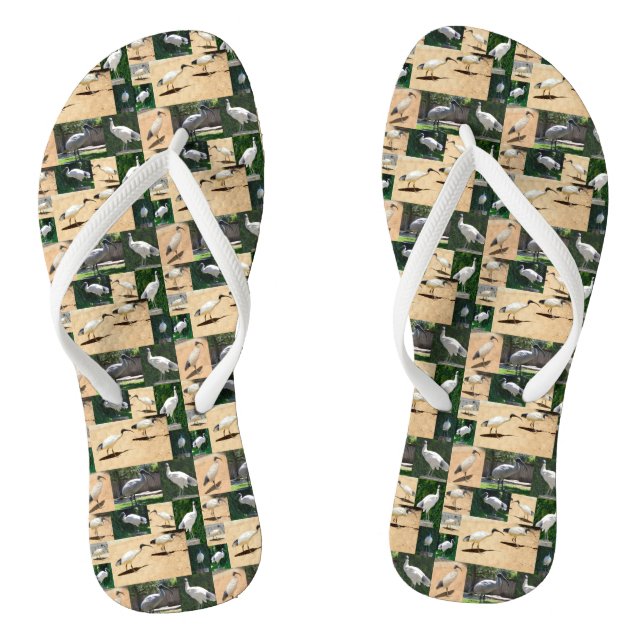 Bin Chicken Foto Collage, Flip Flops (Fußbett)