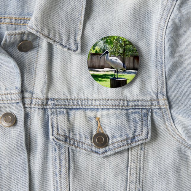 Bin Chicken (ibis) auf einem Baumstumpf, Button (Beispiel)