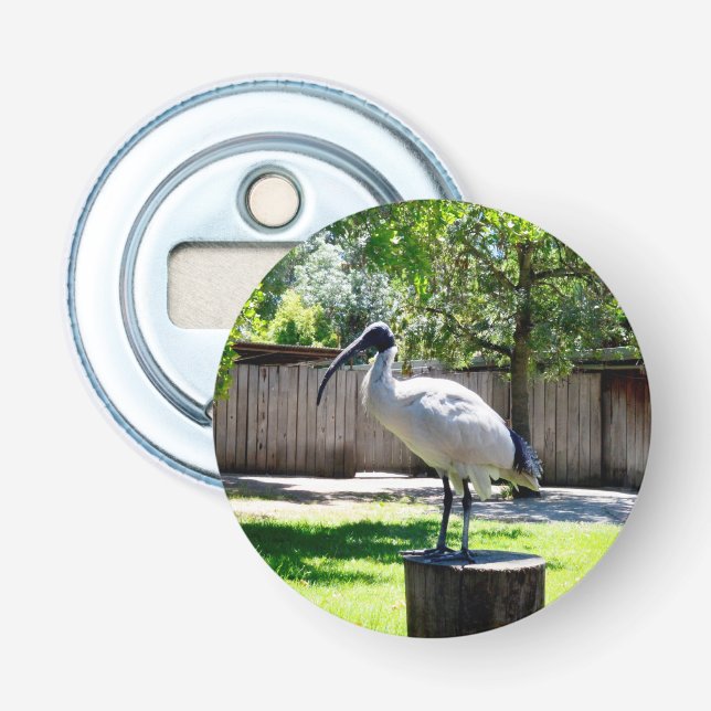 Bin Chicken (ibis) auf einem Baumstumpf, Flaschenöffner (Vorderseite)