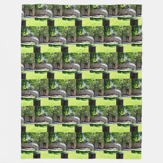 Bin Chicken (ibis) auf einem Baumstumpf, Fleecedecke (Vorderseite)