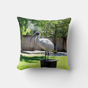 Bin Chicken (ibis) auf einem Baumstumpf, Kissen