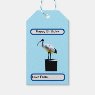 Bin Chicken, (Ibis) Ölfarbe, Geschenkanhänger
