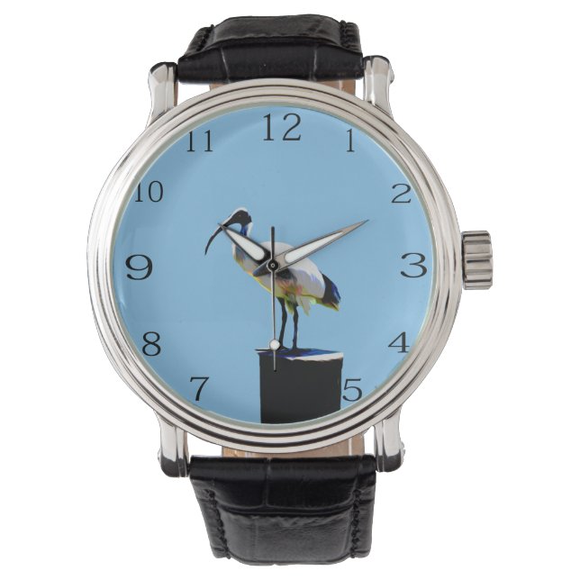 Bin Chicken, (Ibis) Ölfarbe, Schau zu Armbanduhr (Vorderseite)