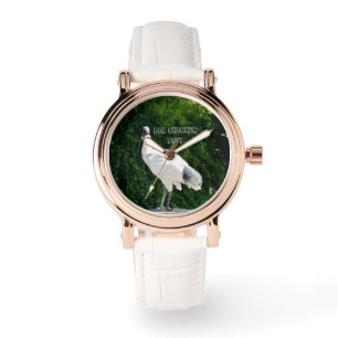 Bin Chicken PFTT, bekannt als Ibis, Armbanduhr