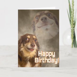 Bin ich das Drama? Karte