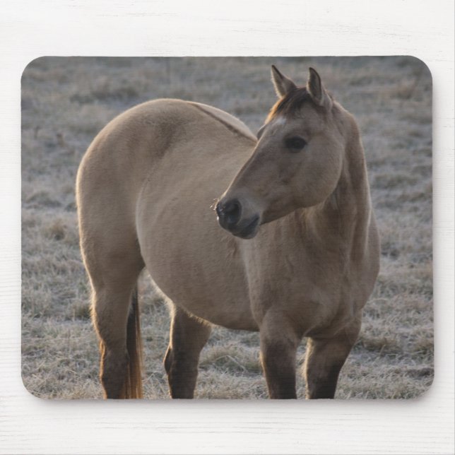 Bin ich nicht Hübsch Mousepad (Vorne)