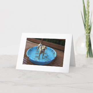 Bin ich schön, oder was? dankeskarte