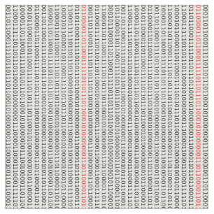 Binary Code Computer Engineer Stoff