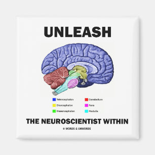 Binden Sie den Neurologen innerhalb los Magnet