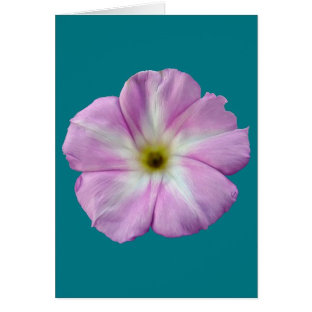 Bindweed #1 (Devant)