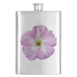 Bindweed #1 flachmann