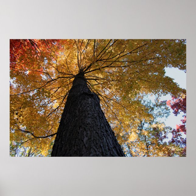 Binghamton October 2008 17 Poster (Vorne)