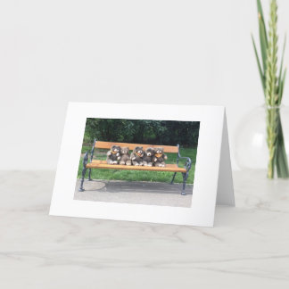 Bingo-Bärn-Gruß-Karte Karte