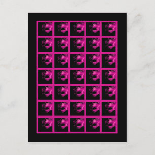 Bingo Cartes Markers Sweet 16 Hot rose Black Party