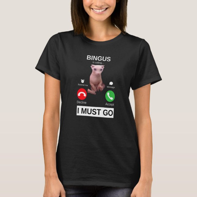 Bingus nennt haarlose Sphynx Cat Meme T-Shirt (Vorderseite)