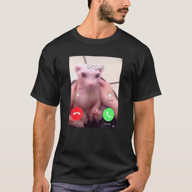 Bingus nennt meine geliebte haarlose Sphinxkatze 1 T-Shirt (Vorderseite)