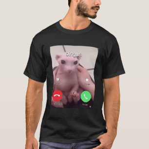 Bingus nennt meine geliebte haarlose Sphinxkatze T-Shirt