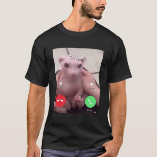 Bingus nennt meine geliebte haarlose Sphinxkatze T-Shirt