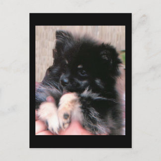 BINKIE POSTKARTE