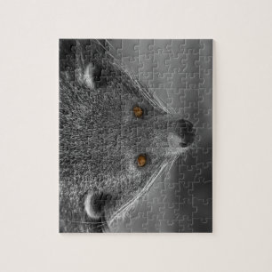 Binturong
