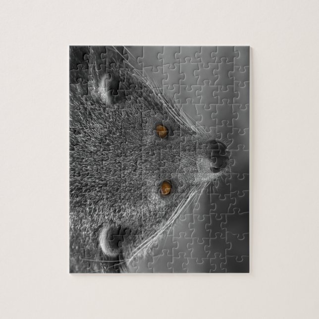 Binturong (Vertikal)