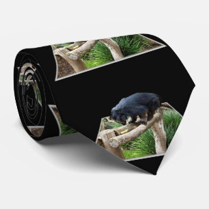 Binturong Stehend auf einer Holzbahn, Krawatte