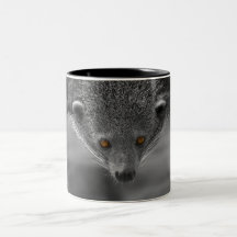 Binturong