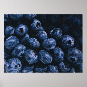 Bio Blueberries-Strauß Poster