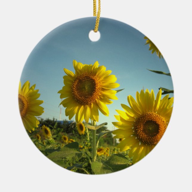 Bio im Garten arbeitenverzierung Keramikornament (Vorne)