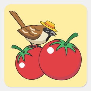 Bio Lover Sparrow Eating Red Tomato Quadratischer Aufkleber