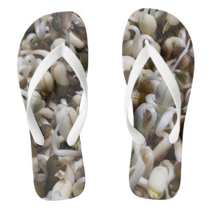 Bio Mung Sprouts - ein nährstoffverpacktes Superfo Flip Flops