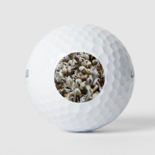 Bio Mung Sprouts - ein nährstoffverpacktes Superfo Golfball