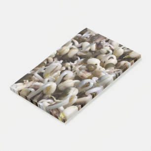 Bio Mung Sprouts - ein nährstoffverpacktes Superfo Post-it Klebezettel