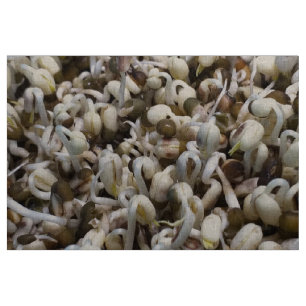 Bio Mung Sprouts - ein nährstoffverpacktes Superfo Stoff