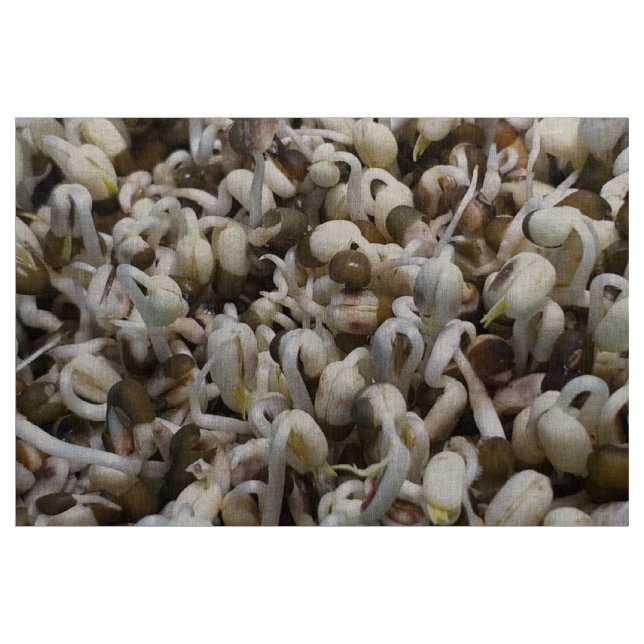 Bio Mung Sprouts - ein nährstoffverpacktes Superfo Stoff (Yard (91,4 cm))