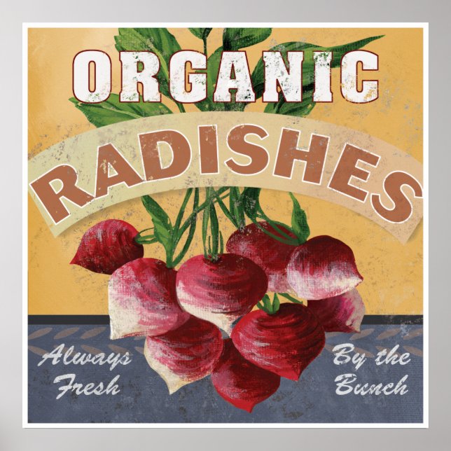 Bio Radishes Poster (Vorne)