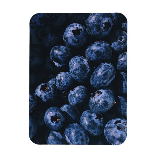 Bio Reifenhaufen Blaubeeren Magnet (Vertikal)