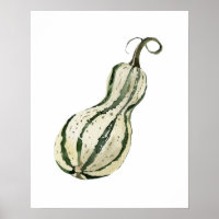 Bio Squash