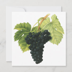 Bio-Traube Rotwein, Lebensmittel Obst