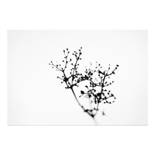 Biochemie der Natur Fotodruck