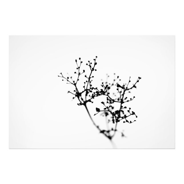 Biochemie der Natur Fotodruck (Vorne)