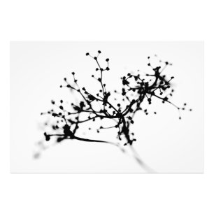 Biochemie des Winters Fotodruck