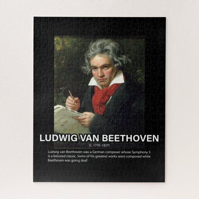 Biografie von Ludwig van Beethoven (Vertikal)