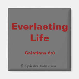 Biokotierungen Magnet