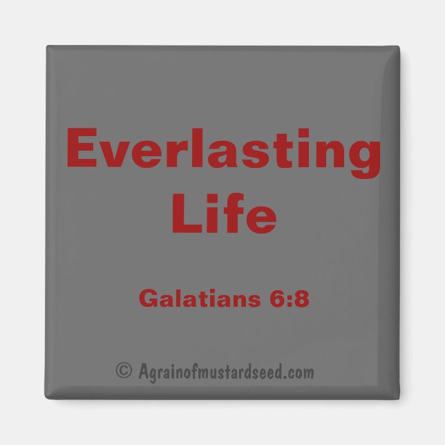 Biokotierungen Magnet (Vorne)