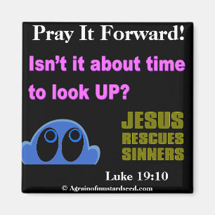 Biokotierungen Magnet